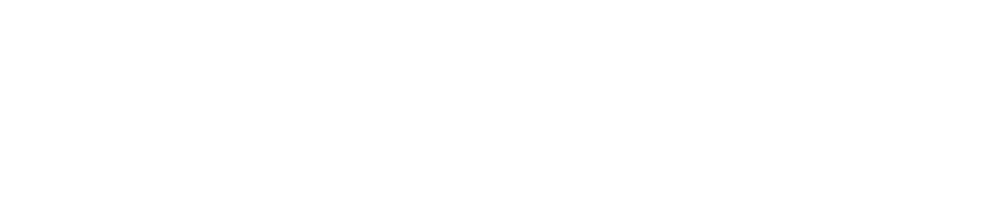 Sentrix Axis white logo